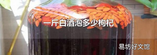 一斤白酒泡多少枸杞