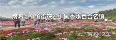 南海哪个镇街获评中国香水百合名镇
