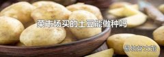 菜市场买的土豆能做种吗