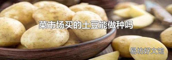 菜市场买的土豆能做种吗