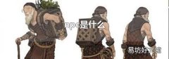 npc是什么