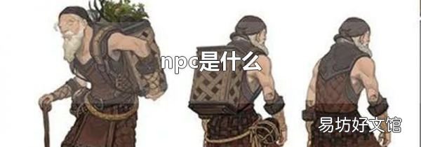 npc是什么