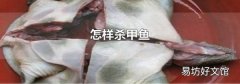 怎样杀甲鱼