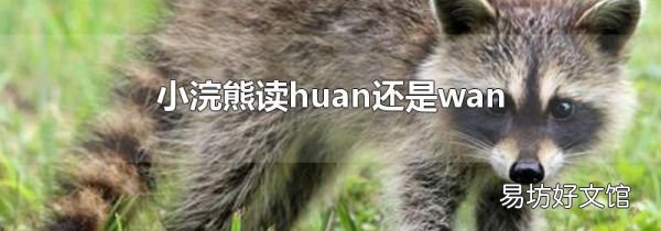 小浣熊读huan还是wan