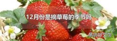 12月份是摘草莓的季节吗