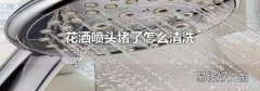 花洒喷头堵了怎么清洗
