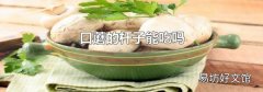 口蘑的杆子能吃吗