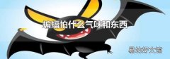 蝙蝠怕什么气味和东西