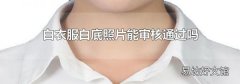白衣服白底照片能审核通过吗