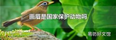 画眉是国家保护动物吗