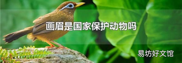 画眉是国家保护动物吗