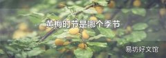 黄梅时节是哪个季节
