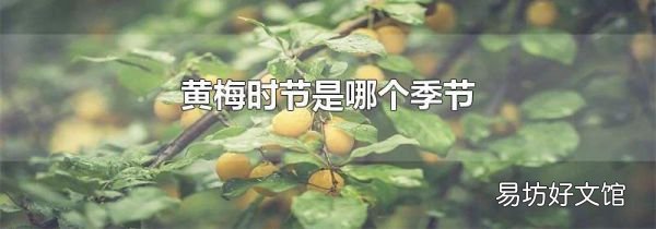 黄梅时节是哪个季节