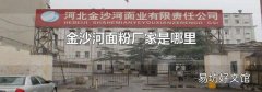 金沙河面粉厂家是哪里