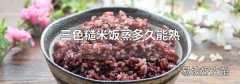 三色糙米饭蒸多久能熟
