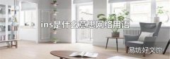 ins是什么意思网络用语