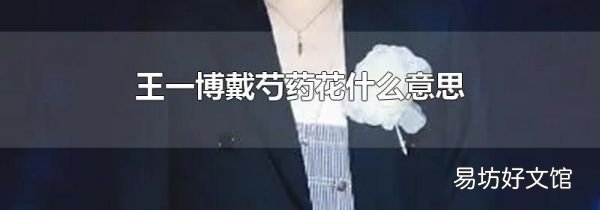 王一博戴芍药花什么意思