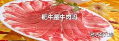 肥牛是牛肉吗