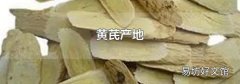 黄芪产地