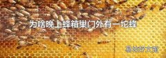 为啥晚上蜂箱巢门外有一坨蜂