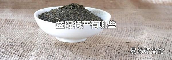 益阳特产有哪些
