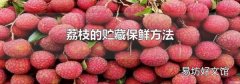 荔枝的贮藏保鲜方法