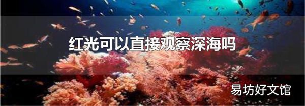 红光可以直接观察深海吗