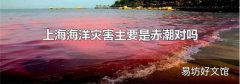 上海海洋灾害主要是赤潮对吗