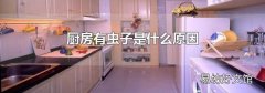 厨房有虫子是什么原因