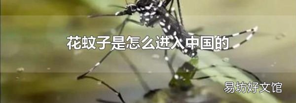 花蚊子是怎么进入中国的