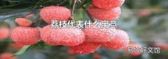 荔枝代表什么寓意