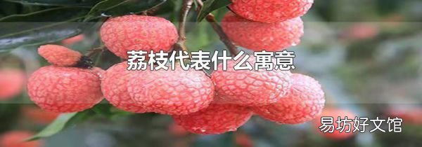 荔枝代表什么寓意