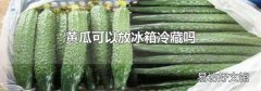 黄瓜可以放冰箱冷藏吗