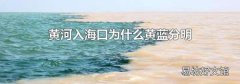 黄河入海口为什么黄蓝分明