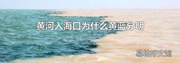 黄河入海口为什么黄蓝分明