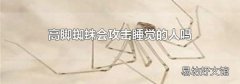 高脚蜘蛛会攻击睡觉的人吗