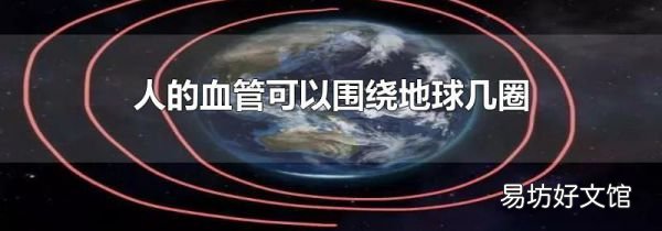 人的血管可以围绕地球几圈