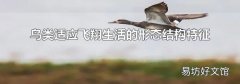 鸟类适应飞翔生活的形态结构特征