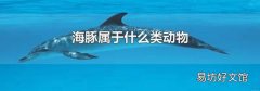 海豚属于什么类动物
