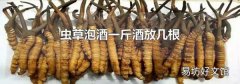 虫草泡酒一斤酒放几根