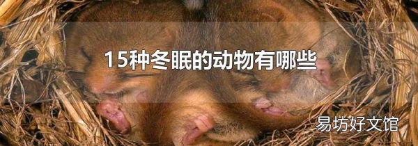 15种冬眠的动物有哪些