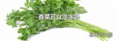 香菜可以冷冻吗