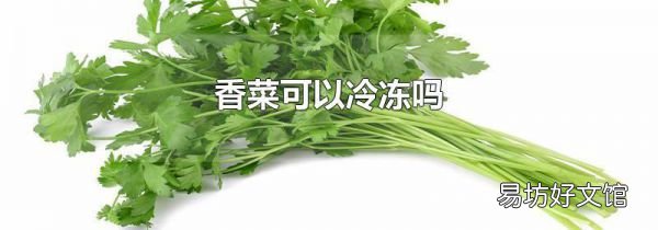 香菜可以冷冻吗