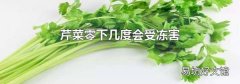 芹菜零下几度会受冻害