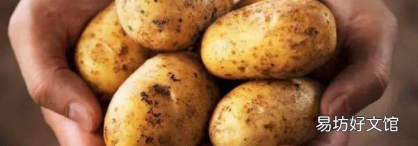 春天怎么防止土豆发芽
