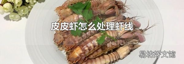 皮皮虾怎么处理虾线