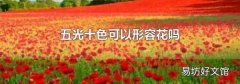 五光十色可以形容花吗