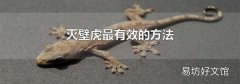 灭壁虎最有效的方法