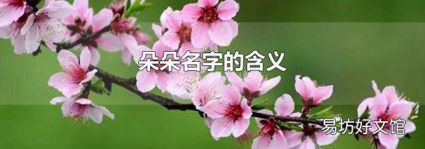 朵朵名字的含义