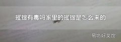 蠼螋有毒吗家里的蠼螋是怎么来的